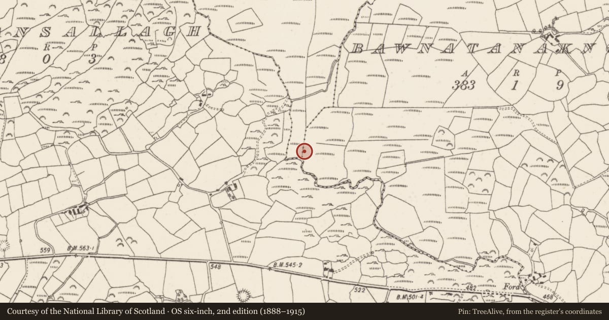 Ordnance Survey six-inch map, 2nd edition (1888–1915) covering the location of Fulacht fia, Barr An Tseanchnoic, County Cork, with a pin at the register's coordinates