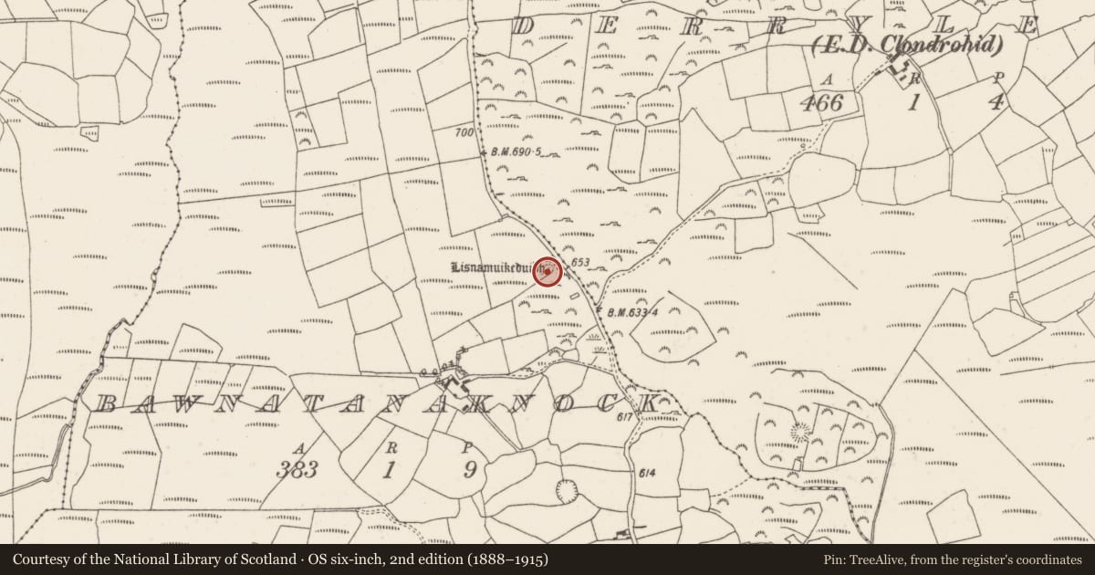 Ordnance Survey six-inch map, 2nd edition (1888–1915) covering the location of Barrow - ring-barrow, Barr An Tseanchnoic, County Cork, with a pin at the register's coordinates