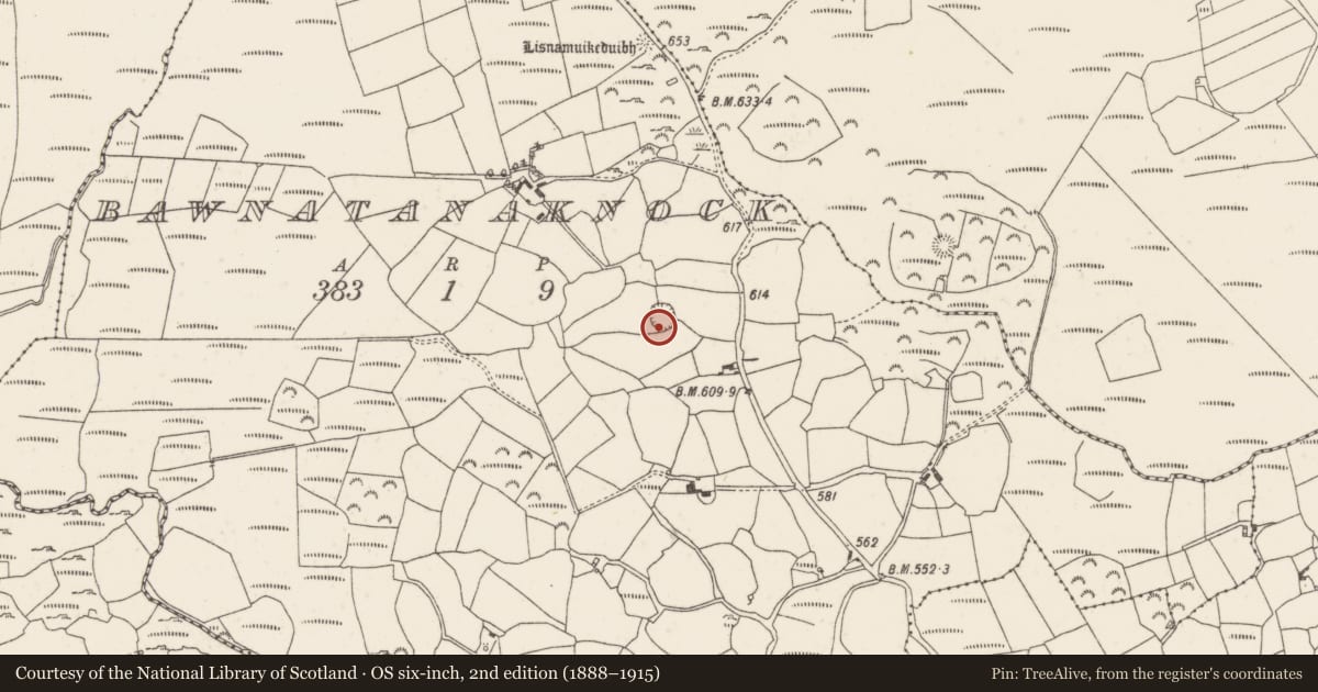 Ordnance Survey six-inch map, 2nd edition (1888–1915) covering the location of Ringfort - rath, Barr An Tseanchnoic, County Cork, with a pin at the register's coordinates