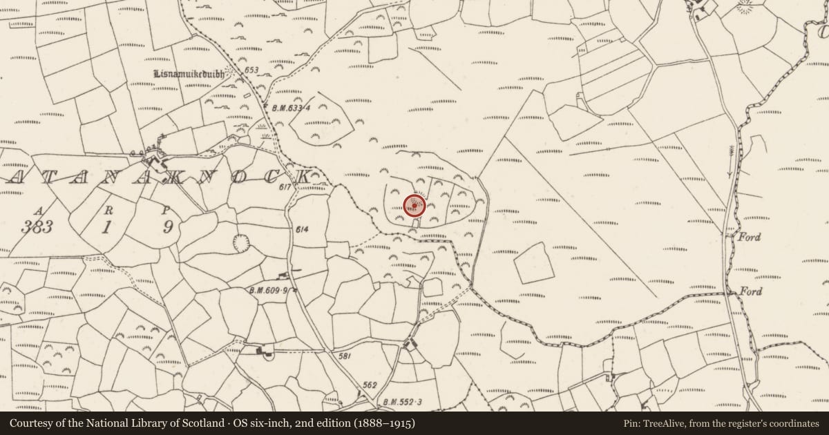 Ordnance Survey six-inch map, 2nd edition (1888–1915) covering the location of Ringfort - rath, Derryleigh (Muskerry West By., Clondrohid Par.), County Cork, with a pin at the register's coordinates