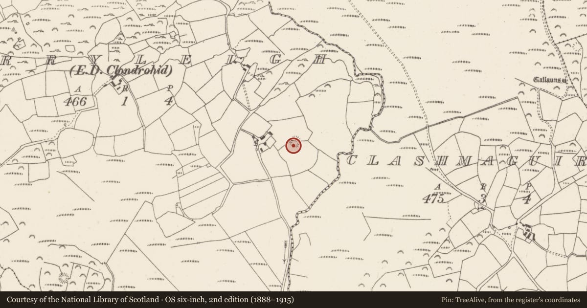 Ordnance Survey six-inch map, 2nd edition (1888–1915) covering the location of Ringfort - rath, Derryleigh (Muskerry West By., Clondrohid Par.), County Cork, with a pin at the register's coordinates