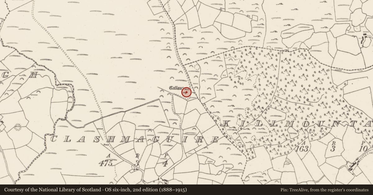 Ordnance Survey six-inch map, 2nd edition (1888–1915) covering the location of Standing stone - pair, Clashmaguire, County Cork, with a pin at the register's coordinates