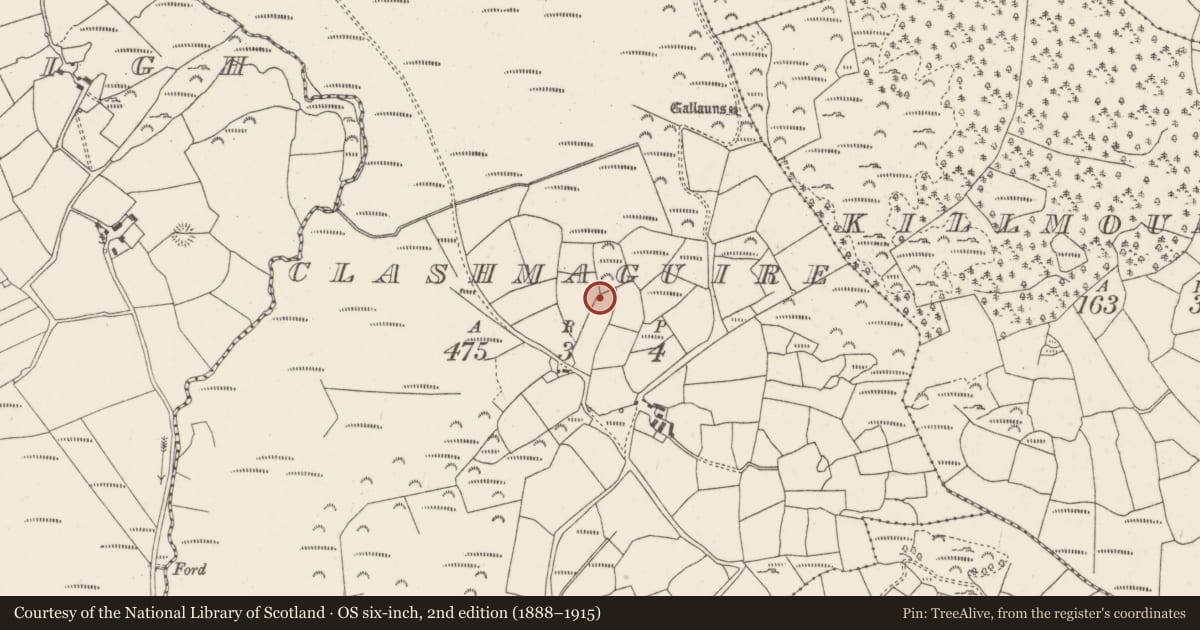 Ordnance Survey six-inch map, 2nd edition (1888–1915) covering the location of Ringfort - rath, Clashmaguire, County Cork, with a pin at the register's coordinates