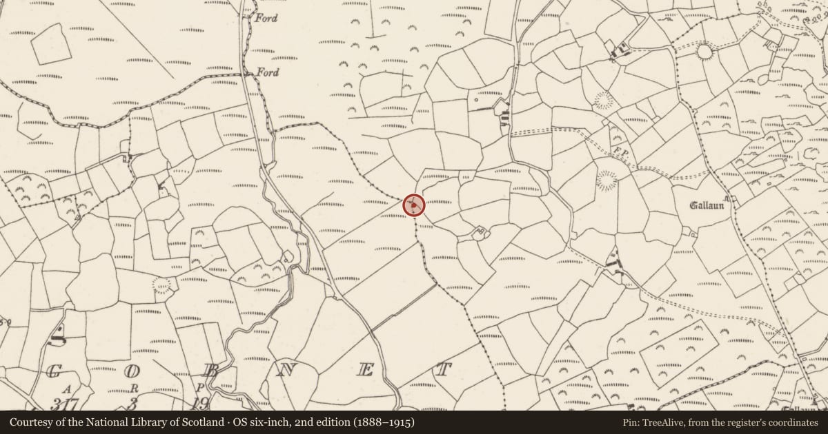 Ordnance Survey six-inch map, 2nd edition (1888–1915) covering the location of Fulacht fia, Clashmaguire, County Cork, with a pin at the register's coordinates