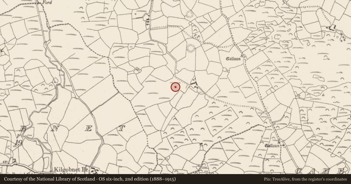 Ordnance Survey six-inch map, 2nd edition (1888–1915) covering the location of Fulacht fia, Clashmaguire, County Cork, with a pin at the register's coordinates