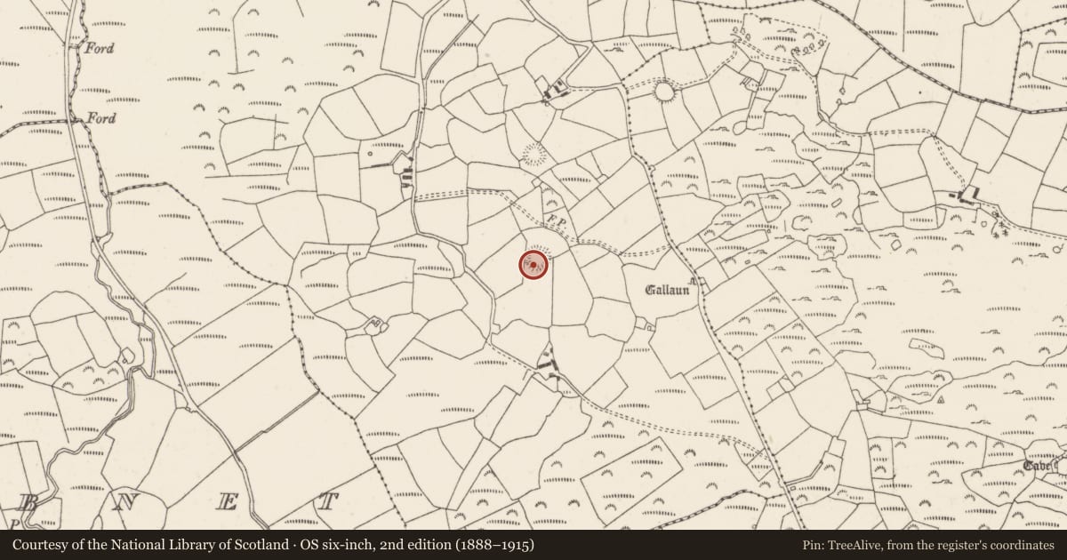 Ordnance Survey six-inch map, 2nd edition (1888–1915) covering the location of Ringfort - rath, Clashmaguire, County Cork, with a pin at the register's coordinates