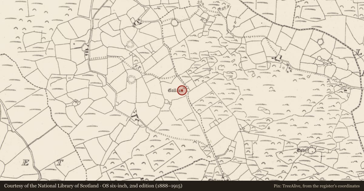 Ordnance Survey six-inch map, 2nd edition (1888–1915) covering the location of Standing stone, Clashmaguire, County Cork, with a pin at the register's coordinates