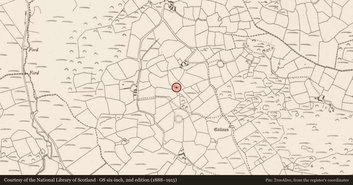Ordnance Survey six-inch map, 2nd edition (1888–1915) covering the location of Ringfort - rath, Clashmaguire, County Cork, with a pin at the register's coordinates
