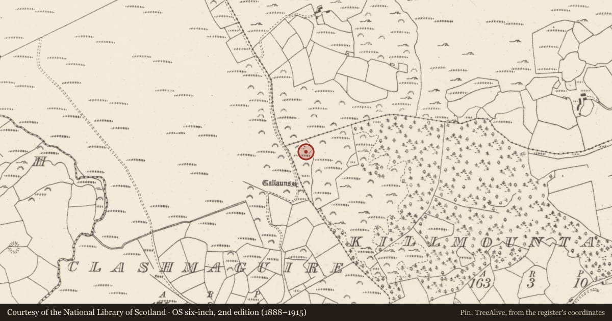 Ordnance Survey six-inch map, 2nd edition (1888–1915) covering the location of Ringfort - rath, Killmountain, County Cork, with a pin at the register's coordinates