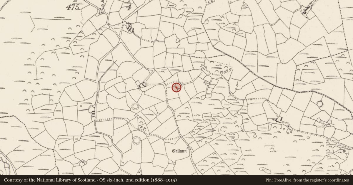 Ordnance Survey six-inch map, 2nd edition (1888–1915) covering the location of Ringfort - cashel, Caherkeegane, County Cork, with a pin at the register's coordinates