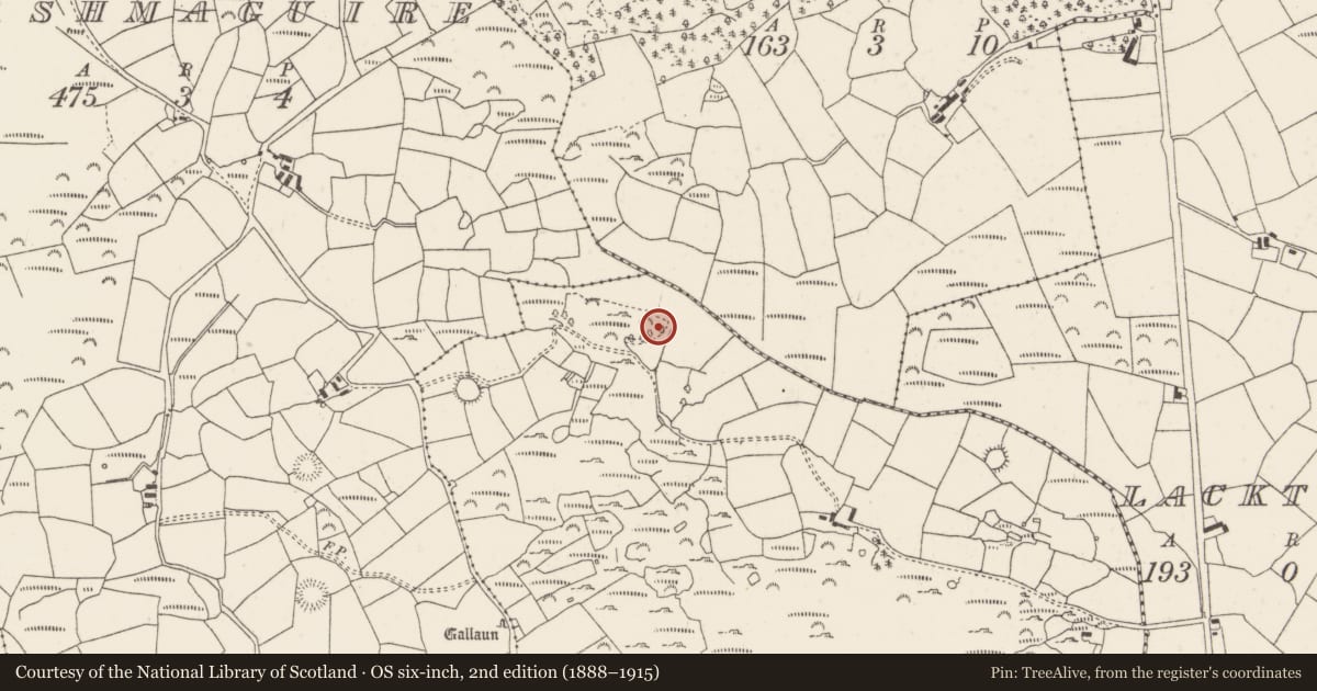Ordnance Survey six-inch map, 2nd edition (1888–1915) covering the location of Anomalous stone group, Caherkeegane, County Cork, with a pin at the register's coordinates