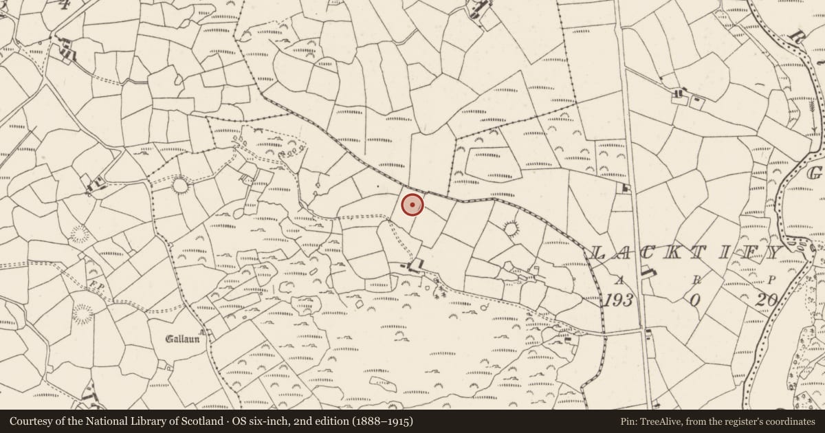 Ordnance Survey six-inch map, 2nd edition (1888–1915) covering the location of Fulacht fia, Caherkeegane, County Cork, with a pin at the register's coordinates