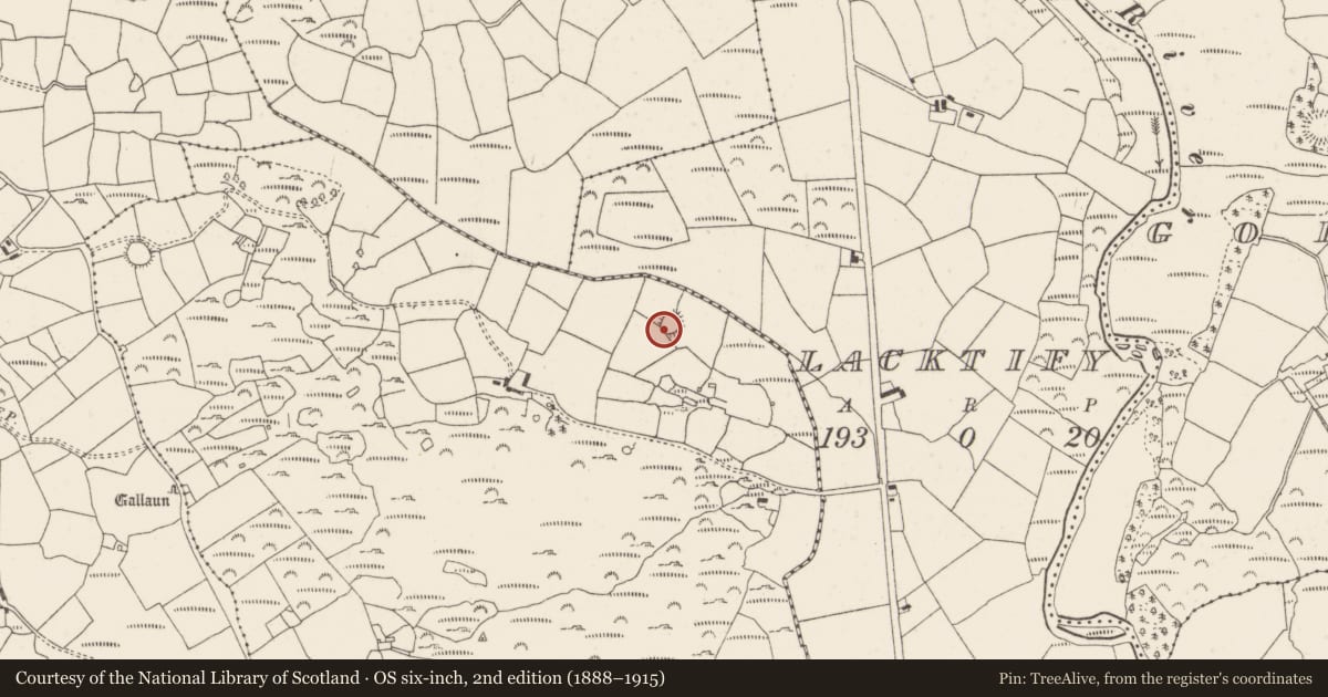 Ordnance Survey six-inch map, 2nd edition (1888–1915) covering the location of Ringfort - rath, Caherkeegane, County Cork, with a pin at the register's coordinates