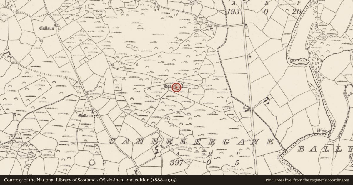 Ordnance Survey six-inch map, 2nd edition (1888–1915) covering the location of Ringfort - cashel, Caherkeegane, County Cork, with a pin at the register's coordinates