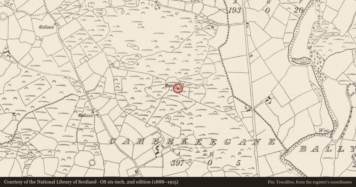 Ordnance Survey six-inch map, 2nd edition (1888–1915) covering the location of Souterrain, Caherkeegane, County Cork, with a pin at the register's coordinates