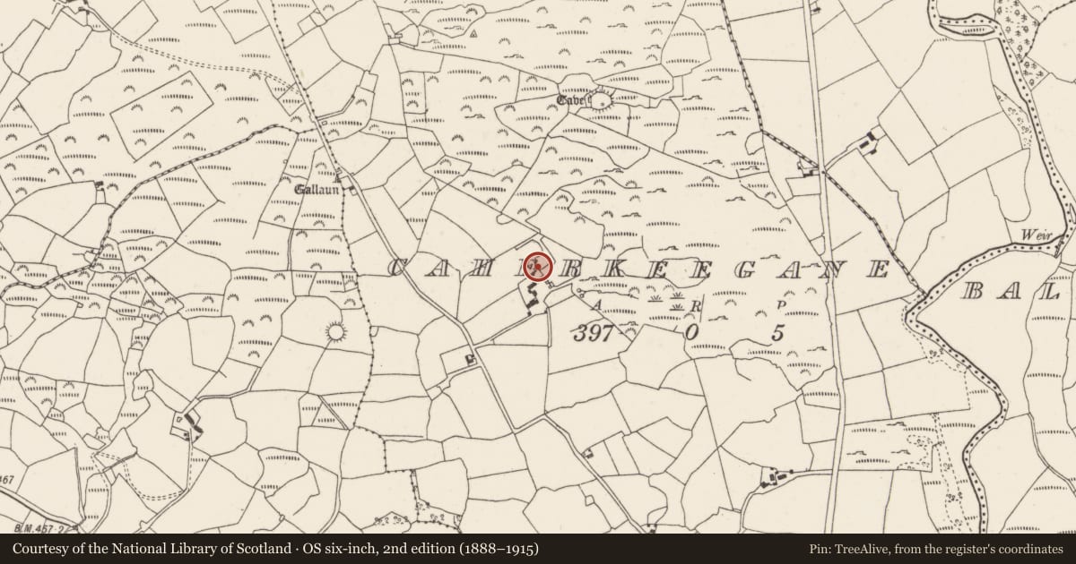 Ordnance Survey six-inch map, 2nd edition (1888–1915) covering the location of Ringfort - cashel, Caherkeegane, County Cork, with a pin at the register's coordinates