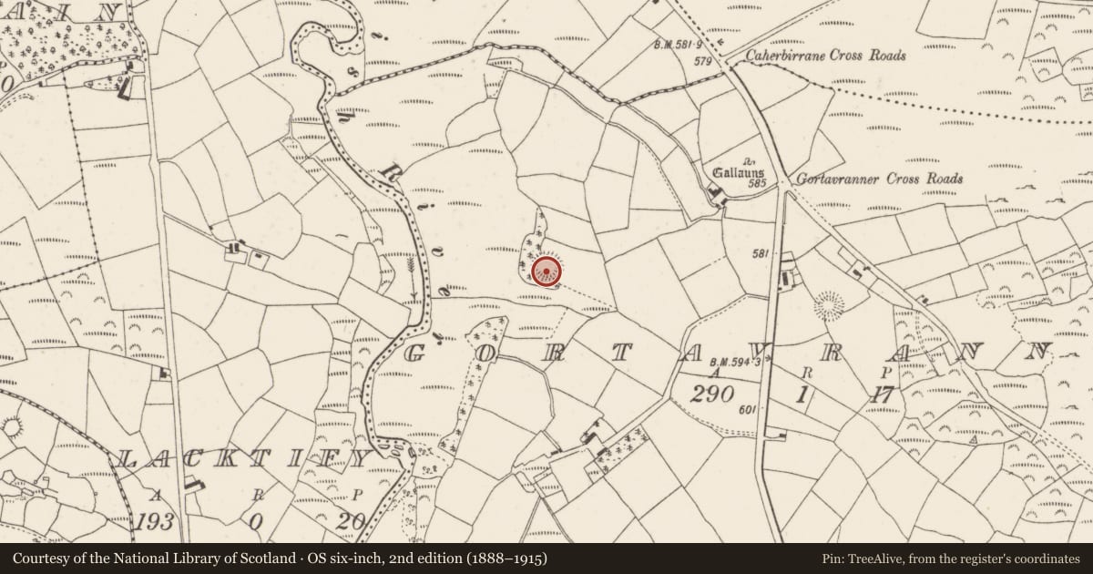 Ordnance Survey six-inch map, 2nd edition (1888–1915) covering the location of Ringfort - rath, Gortavranner, County Cork, with a pin at the register's coordinates
