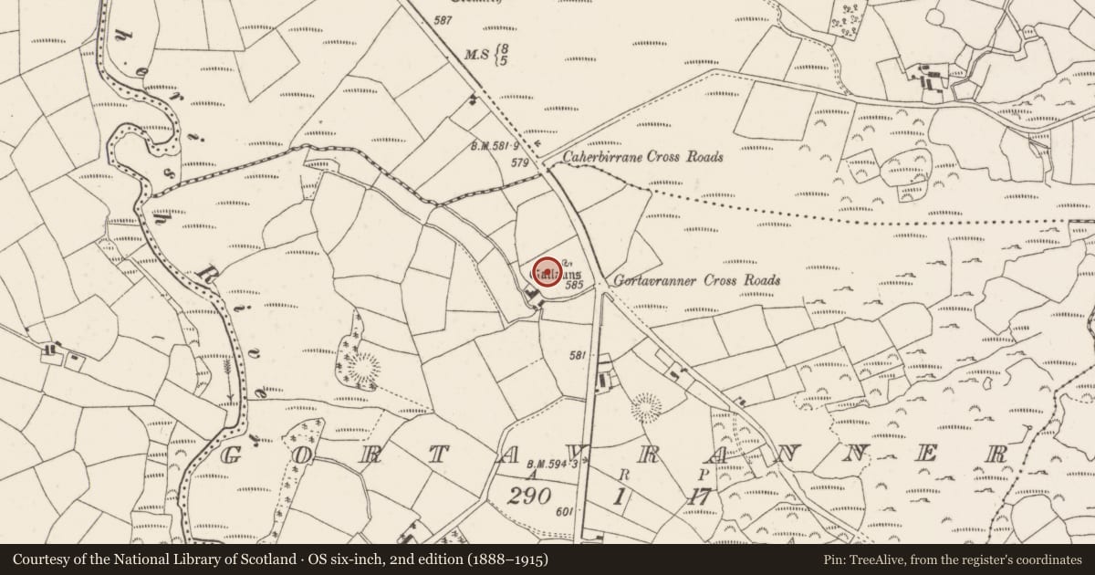 Ordnance Survey six-inch map, 2nd edition (1888–1915) covering the location of Stone circle, Gortavranner, County Cork, with a pin at the register's coordinates