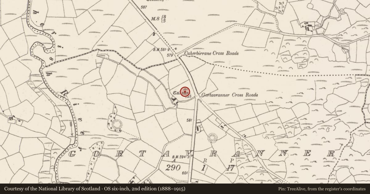 Ordnance Survey six-inch map, 2nd edition (1888–1915) covering the location of Standing stone - pair, Gortavranner, County Cork, with a pin at the register's coordinates
