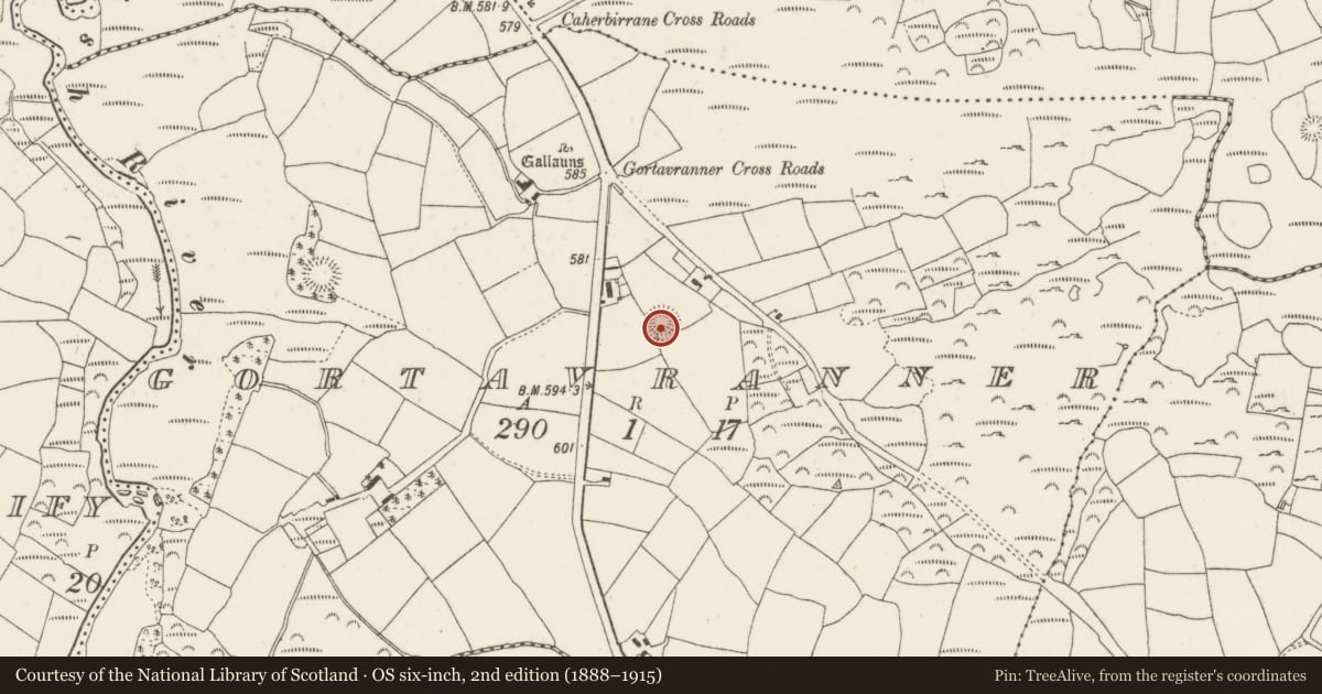 Ordnance Survey six-inch map, 2nd edition (1888–1915) covering the location of Ringfort - rath, Gortavranner, County Cork, with a pin at the register's coordinates