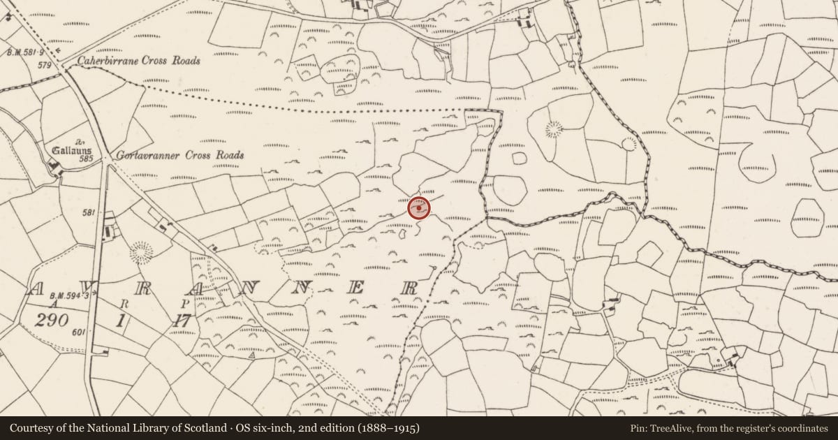 Ordnance Survey six-inch map, 2nd edition (1888–1915) covering the location of Ringfort - rath, Gortavranner, County Cork, with a pin at the register's coordinates
