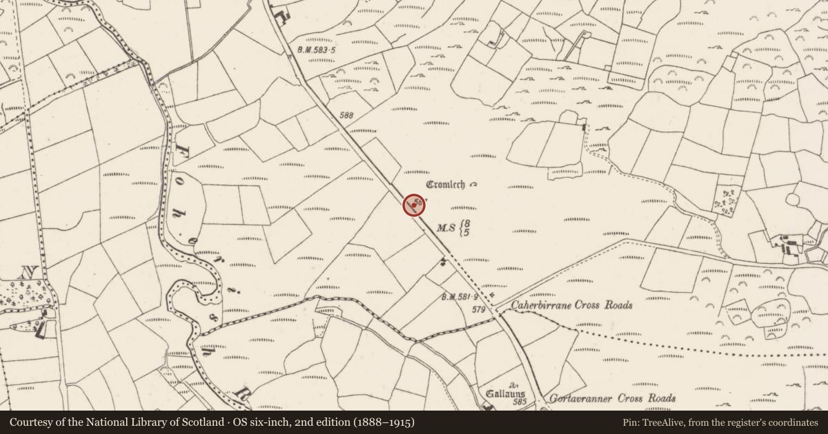 Ordnance Survey six-inch map, 2nd edition (1888–1915) covering the location of Fulacht fia, Caherbirrane, County Cork, with a pin at the register's coordinates