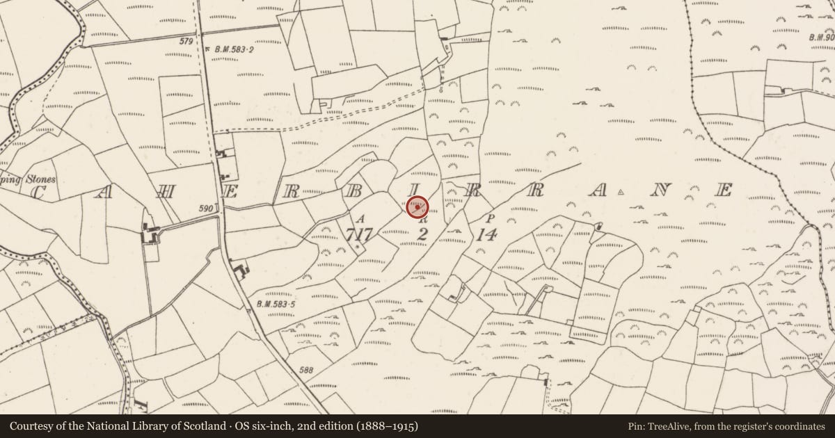 Ordnance Survey six-inch map, 2nd edition (1888–1915) covering the location of Fulacht fia, Caherbirrane, County Cork, with a pin at the register's coordinates
