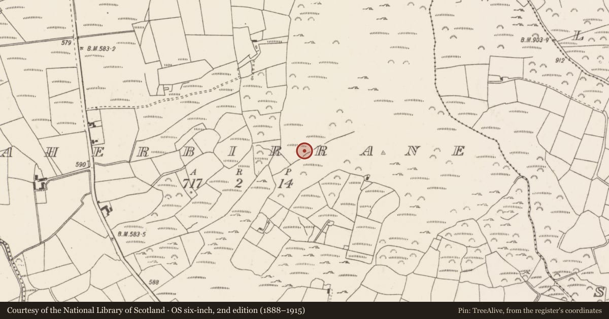 Ordnance Survey six-inch map, 2nd edition (1888–1915) covering the location of Standing stone, Caherbirrane, County Cork, with a pin at the register's coordinates