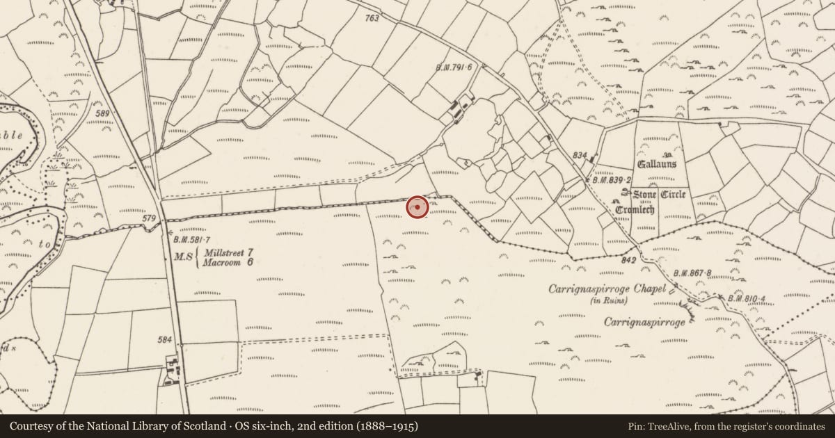 Ordnance Survey six-inch map, 2nd edition (1888–1915) covering the location of Fulacht fia, Caherbirrane, County Cork, with a pin at the register's coordinates