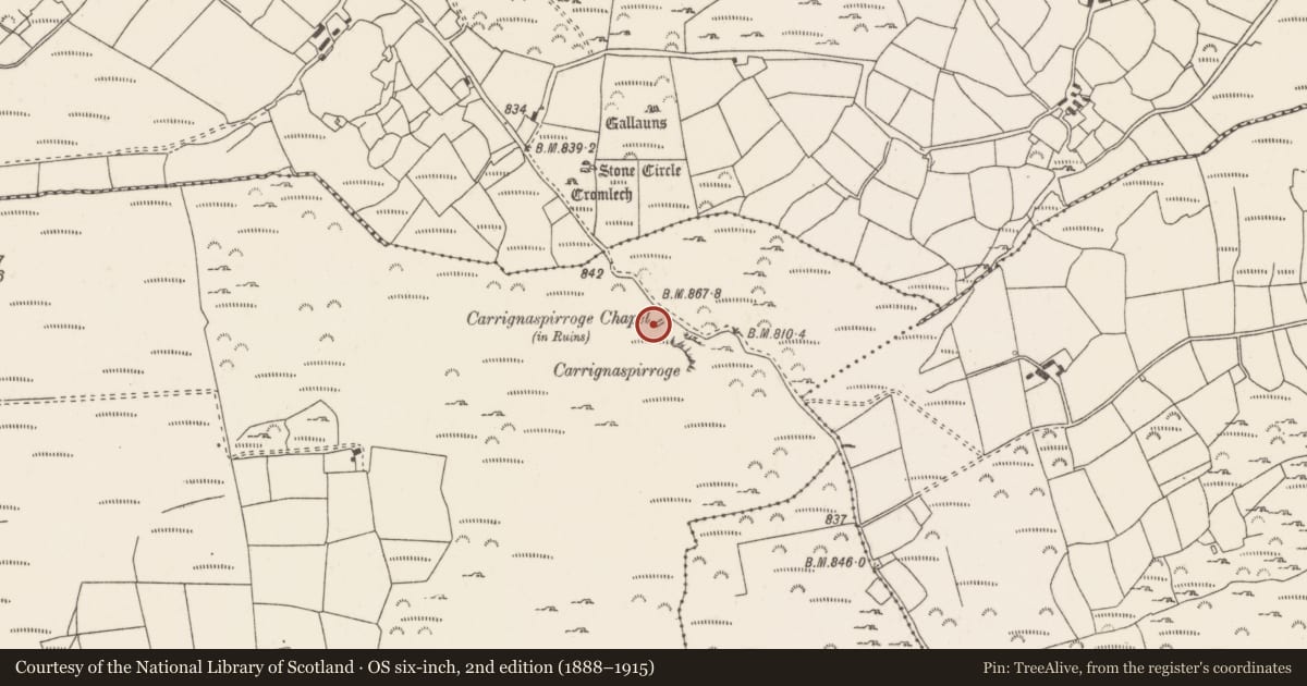 Ordnance Survey six-inch map, 2nd edition (1888–1915) covering the location of Church, Caherbirrane, County Cork, with a pin at the register's coordinates