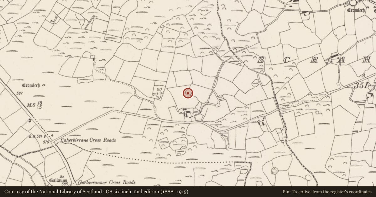 Ordnance Survey six-inch map, 2nd edition (1888–1915) covering the location of Ringfort - rath, Caherbirrane, County Cork, with a pin at the register's coordinates