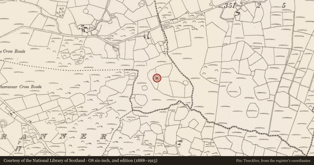 Ordnance Survey six-inch map, 2nd edition (1888–1915) covering the location of Ringfort - rath, Caherbirrane, County Cork, with a pin at the register's coordinates