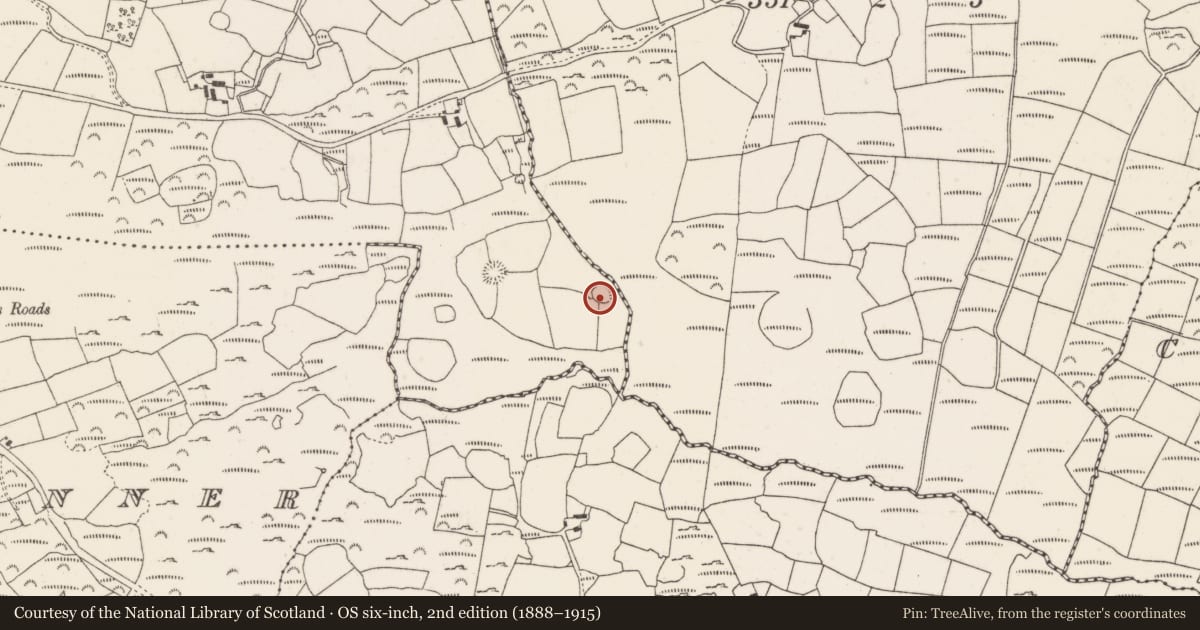 Ordnance Survey six-inch map, 2nd edition (1888–1915) covering the location of Ringfort - rath, Caherbirrane, County Cork, with a pin at the register's coordinates
