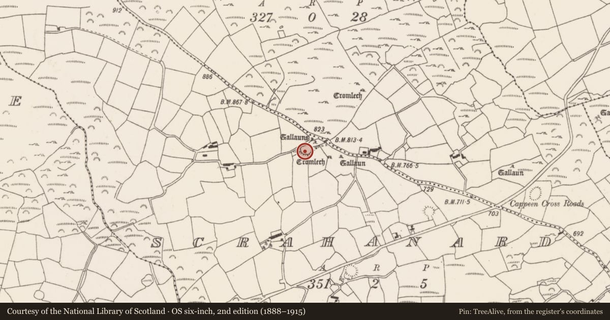 Ordnance Survey six-inch map, 2nd edition (1888–1915) covering the location of Ringfort - rath, Scrahanard, County Cork, with a pin at the register's coordinates