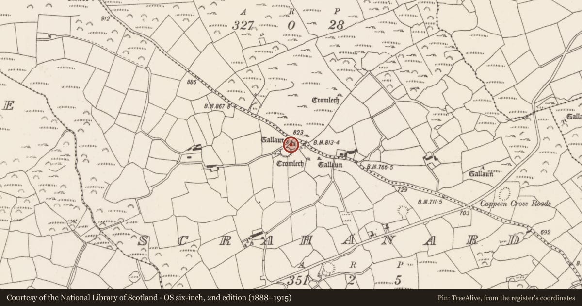 Ordnance Survey six-inch map, 2nd edition (1888–1915) covering the location of Standing stone, Scrahanard, County Cork, with a pin at the register's coordinates