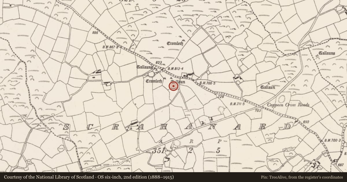 Ordnance Survey six-inch map, 2nd edition (1888–1915) covering the location of Cairn - unclassified, Scrahanard, County Cork, with a pin at the register's coordinates