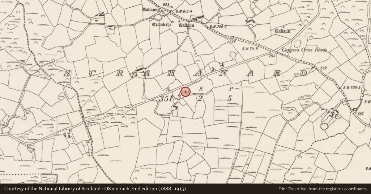 Ordnance Survey six-inch map, 2nd edition (1888–1915) covering the location of Ringfort - rath, Scrahanard, County Cork, with a pin at the register's coordinates