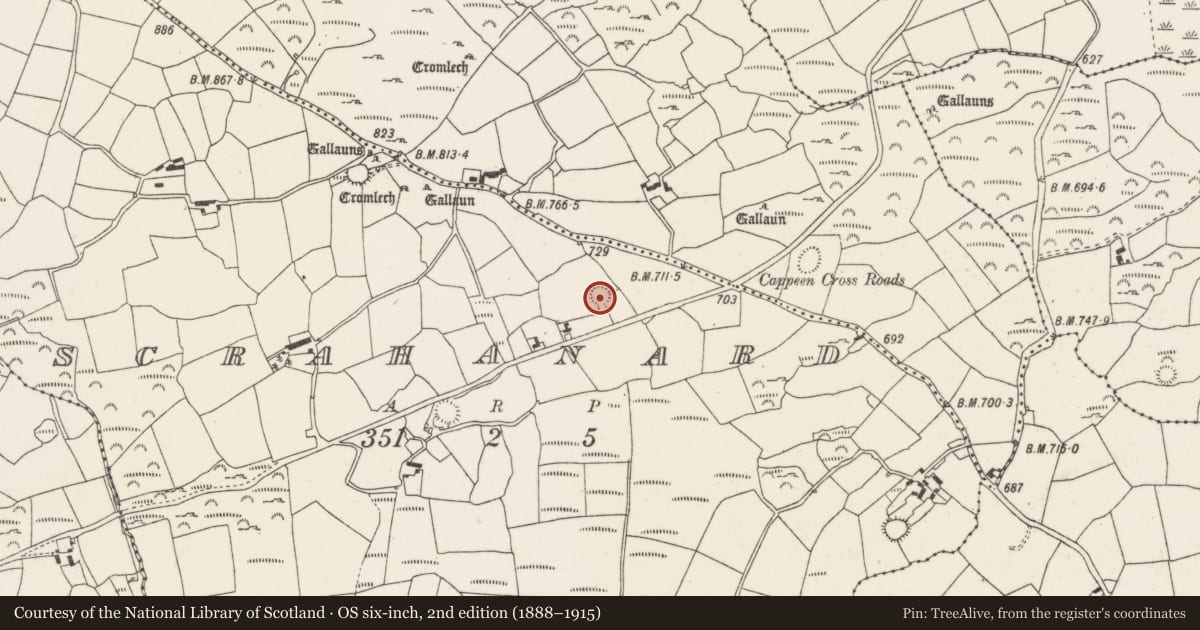 Ordnance Survey six-inch map, 2nd edition (1888–1915) covering the location of Ringfort - rath, Scrahanard, County Cork, with a pin at the register's coordinates