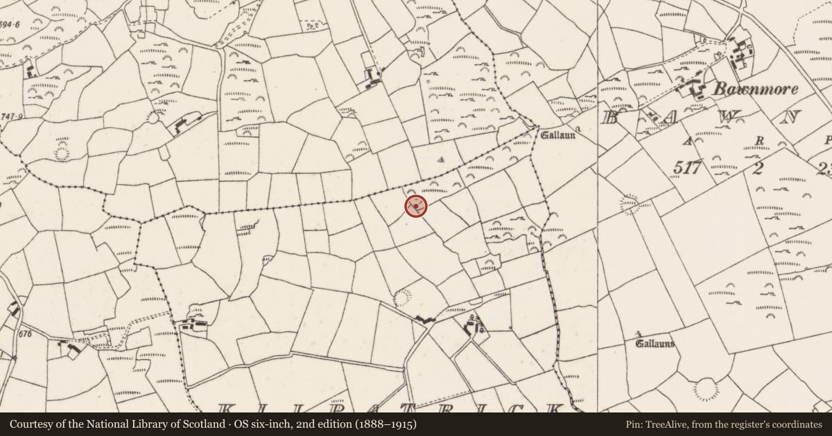 Ordnance Survey six-inch map, 2nd edition (1888–1915) covering the location of Standing stone, Kilpatrick, County Cork, with a pin at the register's coordinates