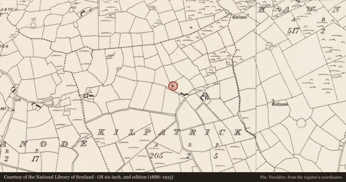 Ordnance Survey six-inch map, 2nd edition (1888–1915) covering the location of Ringfort - rath, Kilpatrick, County Cork, with a pin at the register's coordinates