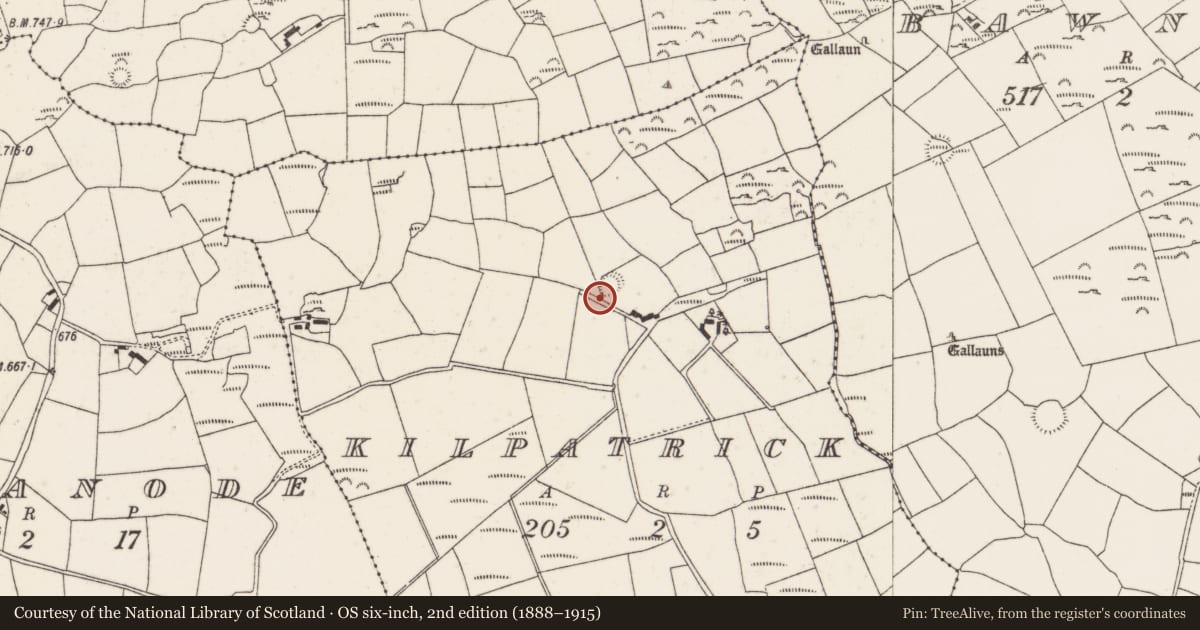 Ordnance Survey six-inch map, 2nd edition (1888–1915) covering the location of Souterrain, Kilpatrick, County Cork, with a pin at the register's coordinates