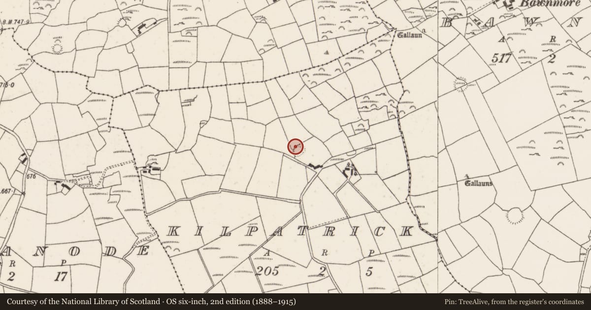 Ordnance Survey six-inch map, 2nd edition (1888–1915) covering the location of Souterrain, Kilpatrick, County Cork, with a pin at the register's coordinates