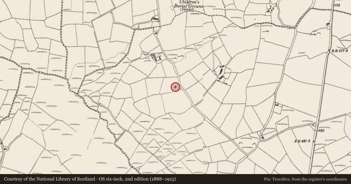 Ordnance Survey six-inch map, 2nd edition (1888–1915) covering the location of Ringfort - rath, Coolaniddane, County Cork, with a pin at the register's coordinates