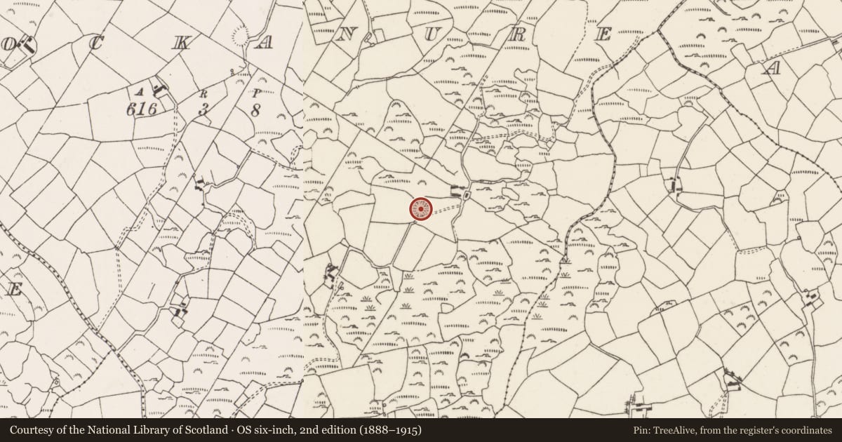 Ordnance Survey six-inch map, 2nd edition (1888–1915) covering the location of Ringfort - rath, Cnoc An Iúir, County Cork, with a pin at the register's coordinates