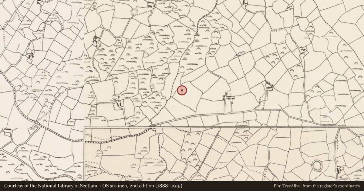 Ordnance Survey six-inch map, 2nd edition (1888–1915) covering the location of Cairn - unclassified, Cúil An Bhuacaigh, County Cork, with a pin at the register's coordinates