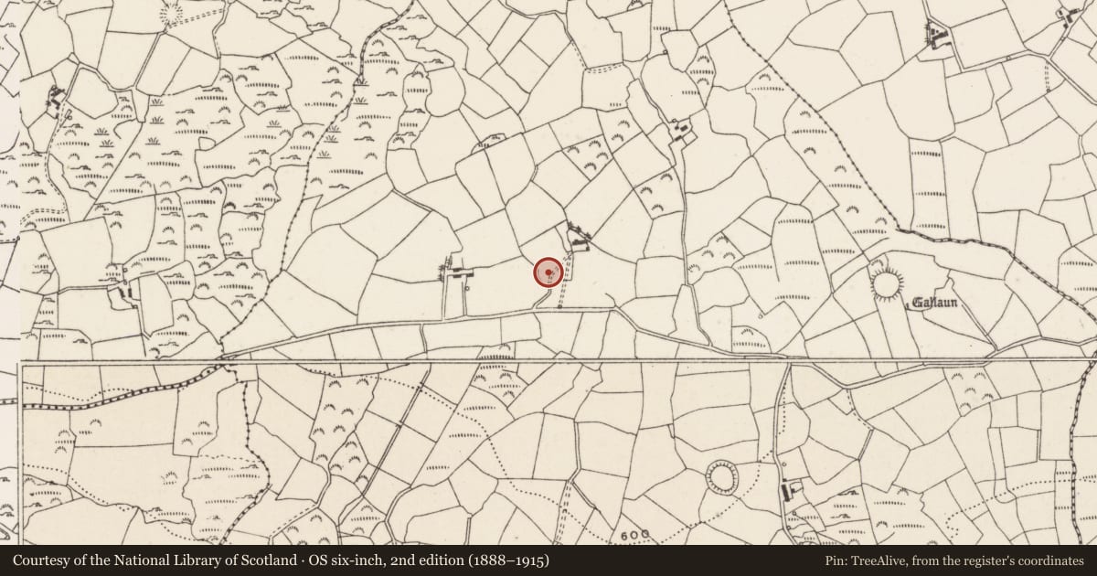 Ordnance Survey six-inch map, 2nd edition (1888–1915) covering the location of Ringfort - rath, Cúil An Bhuacaigh, County Cork, with a pin at the register's coordinates