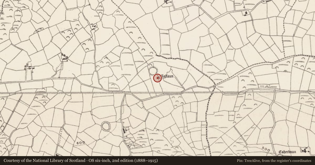 Ordnance Survey six-inch map, 2nd edition (1888–1915) covering the location of Standing stone, Cúil An Bhuacaigh, County Cork, with a pin at the register's coordinates