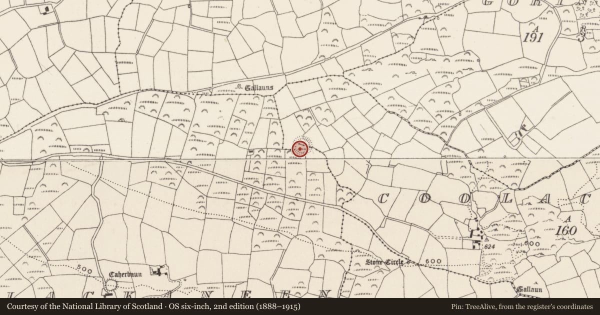 Ordnance Survey six-inch map, 2nd edition (1888–1915) covering the location of Ringfort - rath, Coolacresig, Lackaneen, County Cork, with a pin at the register's coordinates