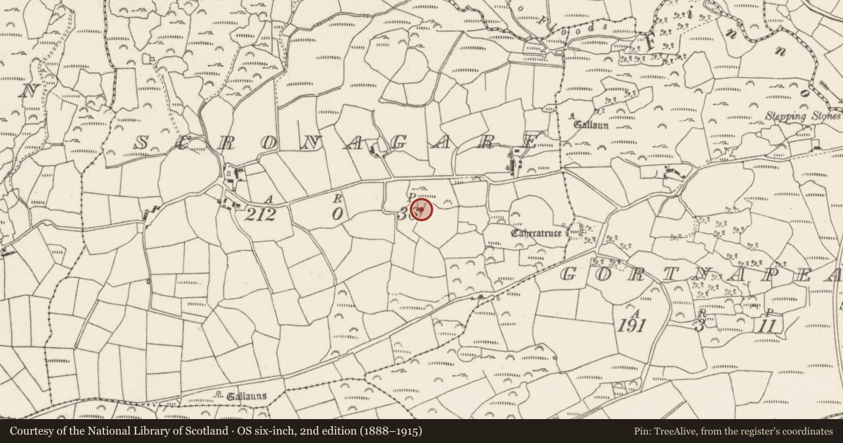 Ordnance Survey six-inch map, 2nd edition (1888–1915) covering the location of Enclosure, Scronagare, County Cork, with a pin at the register's coordinates