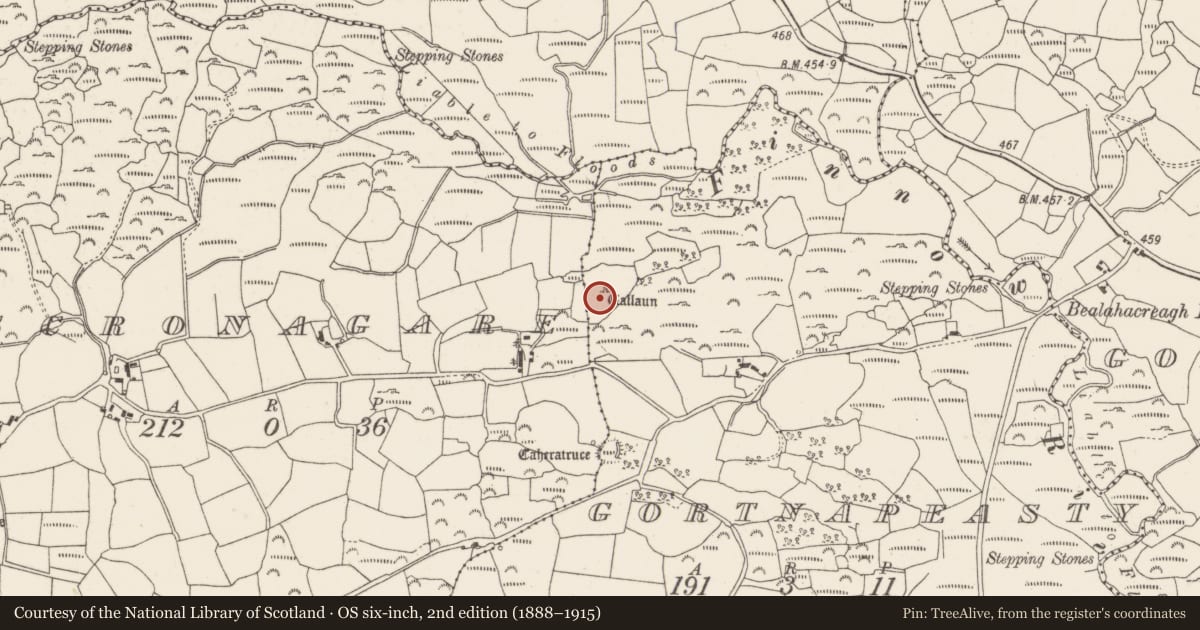 Ordnance Survey six-inch map, 2nd edition (1888–1915) covering the location of Standing stone, Gortnapeasty, County Cork, with a pin at the register's coordinates